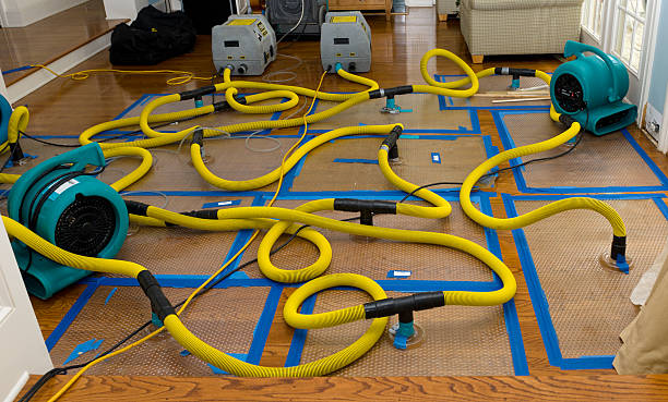 Professional Crawl Space Water Removal technician working in Spring Valley, WI